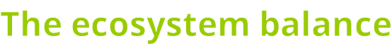 The ecosystem balance